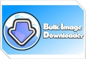 Bulk Image Downloader 6.45.0 Crack & Registration Code [En Son]